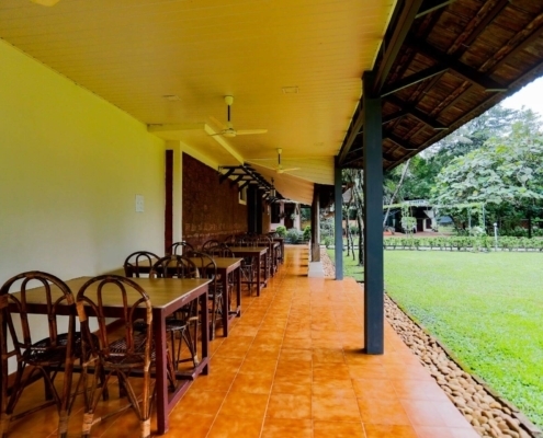 kerala ayurvedic treatment center